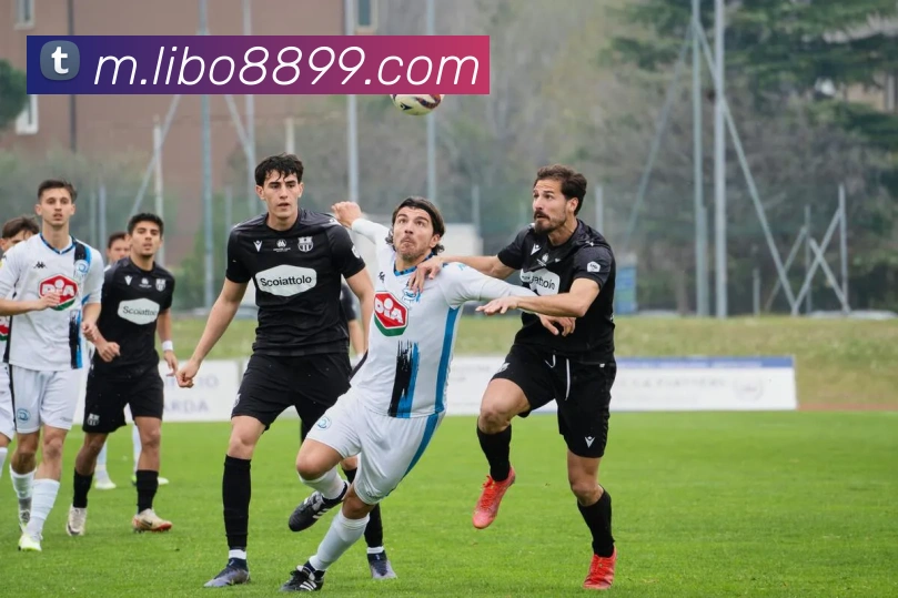 libo立博英国平台生态图